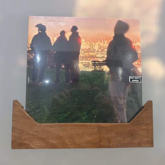 The Hanger : Wall Display, Showcasing Your Favourite Records